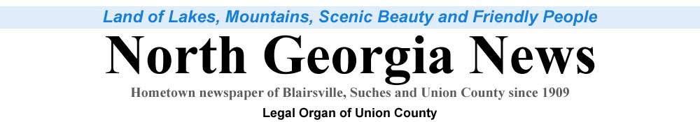 North Georgia News Banner